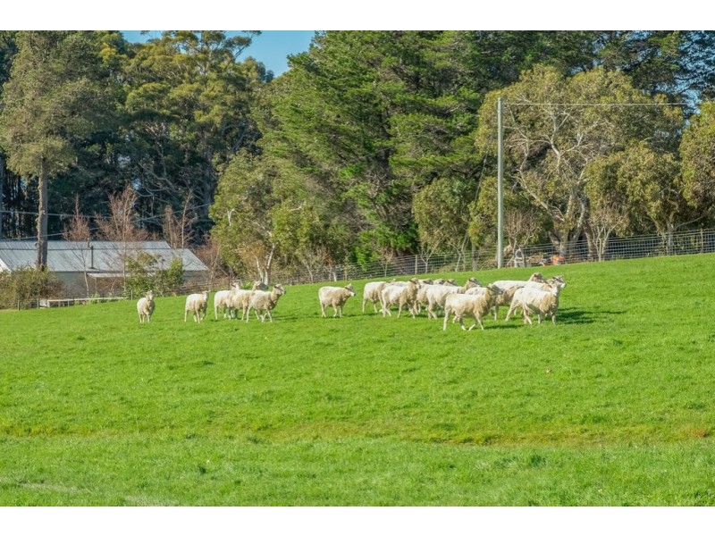 Lot 1 Gumpits Road, Birchs Bay TAS 7162