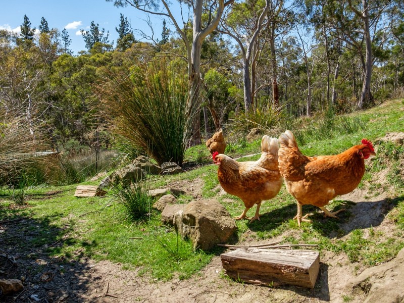 160 Nierinna Road, Margate TAS 7054