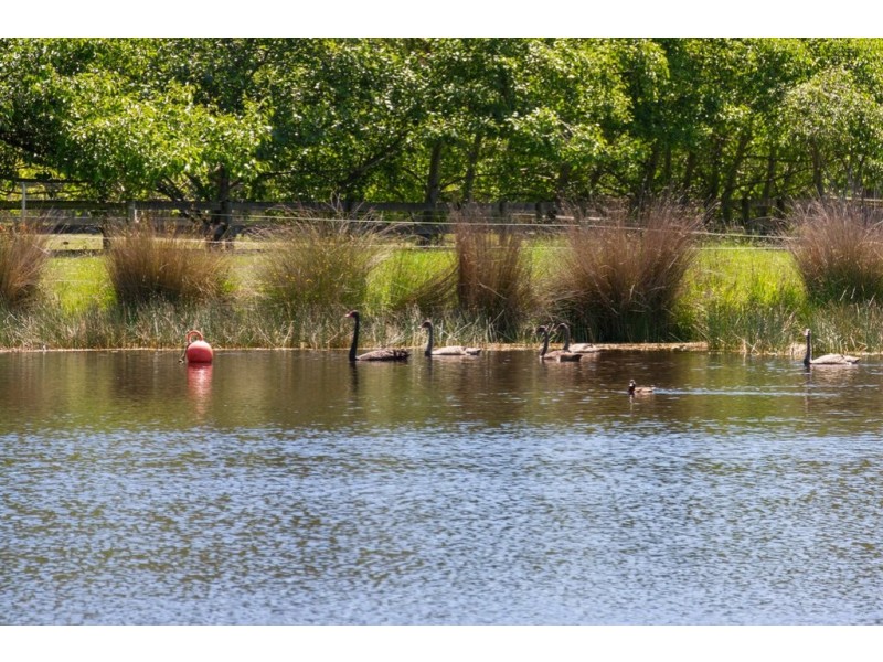 647 Sandfly Road, Sandfly TAS 7150