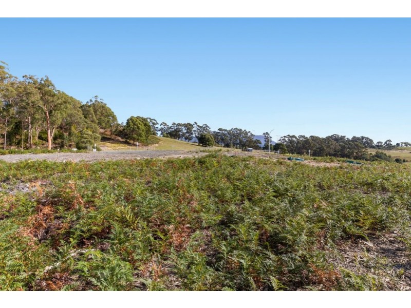 14 Reeves Crescent, Kingston TAS 7050