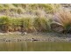 29 Selby Road, Kettering TAS 7155