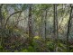 Lot 2, 33 Sproules Road, Snug TAS 7054