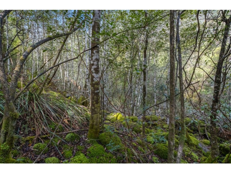 Lot 2, 33 Sproules Road, Snug TAS 7054