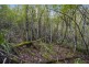 Lot 2, 33 Sproules Road, Snug TAS 7054