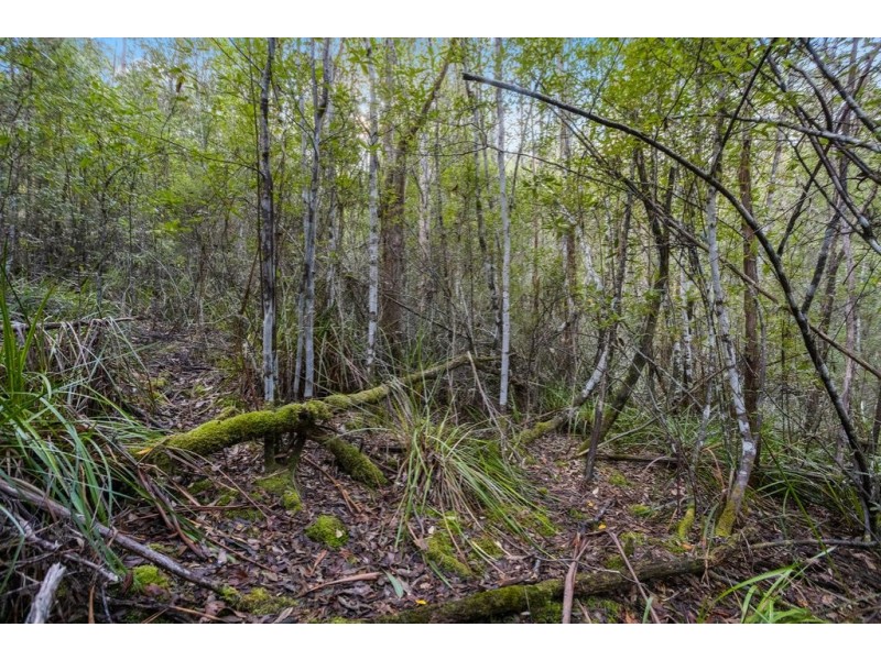 Lot 2, 33 Sproules Road, Snug TAS 7054