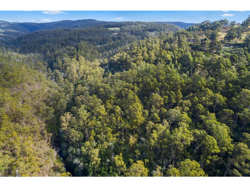 Lot 2, 33 Sproules Road, Snug TAS 7054
