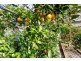 3434 Channel Highway, Woodbridge TAS 7162
