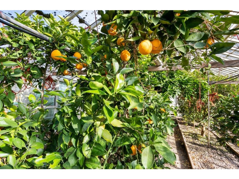 3434 Channel Highway, Woodbridge TAS 7162