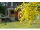 59 Slab Road, Middleton TAS 7163