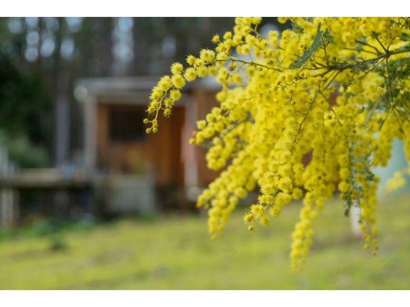 59 Slab Road, Middleton TAS 7163