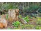 59 Slab Road, Middleton TAS 7163