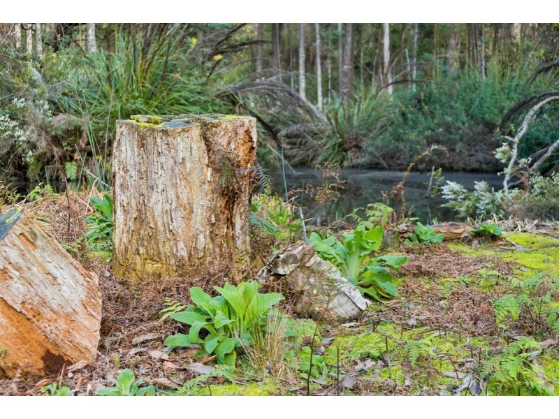59 Slab Road, Middleton TAS 7163