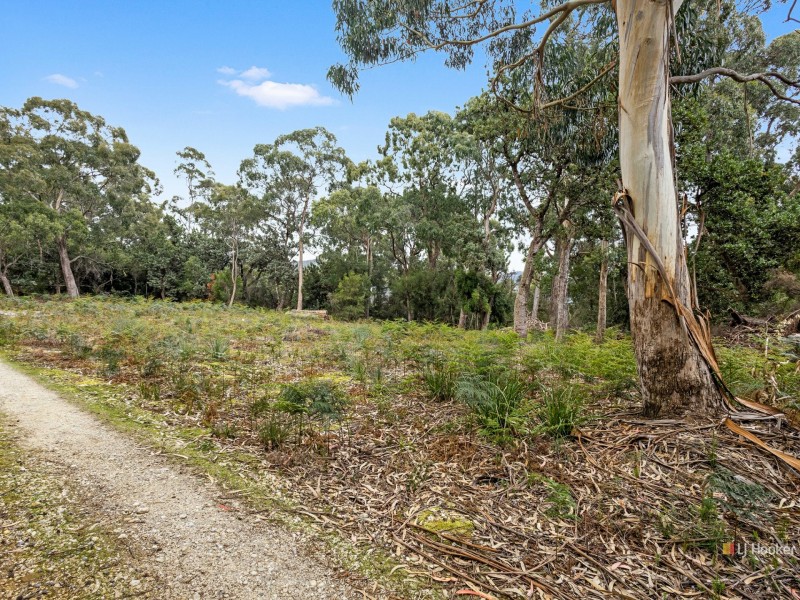 15c Banksia Avenue, Sisters Beach TAS 7321