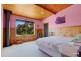 29 Old Mount Hicks Road, Mount Hicks TAS 7325