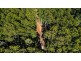 Lot 2/371 Back Cam Road, Somerset TAS 7322
