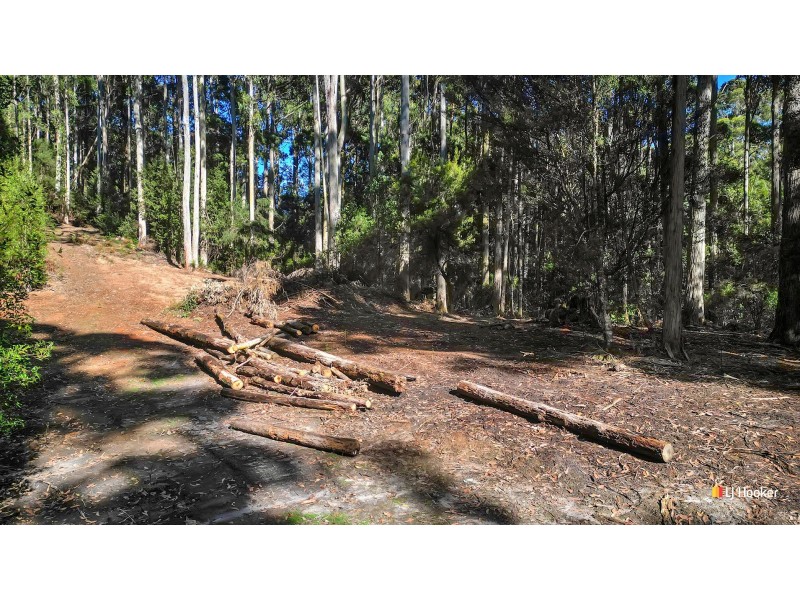 Lot 2/371 Back Cam Road, Somerset TAS 7322