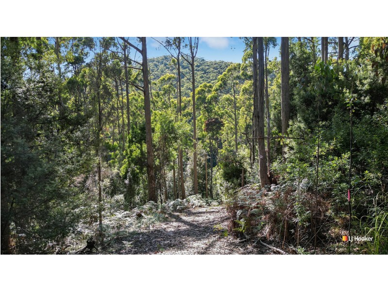 Lot 2/371 Back Cam Road, Somerset TAS 7322