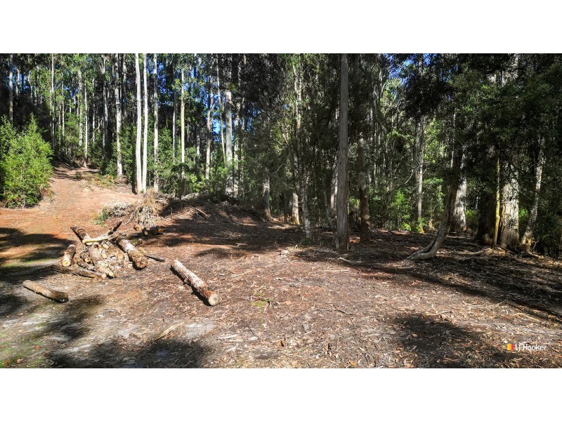 Lot 2/371 Back Cam Road, Somerset TAS 7322