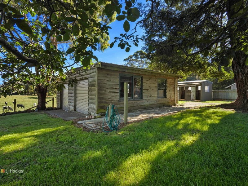 221 Preolenna Road, Flowerdale TAS 7325