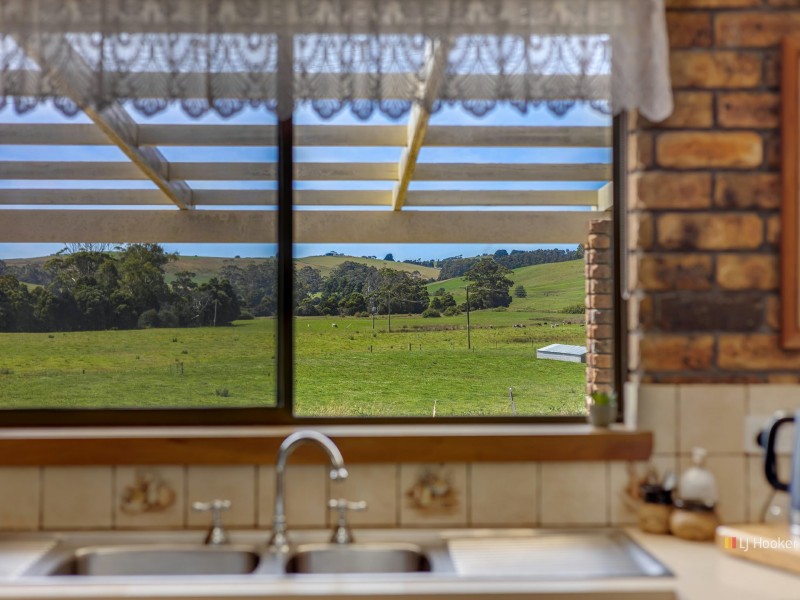 221 Preolenna Road, Flowerdale TAS 7325