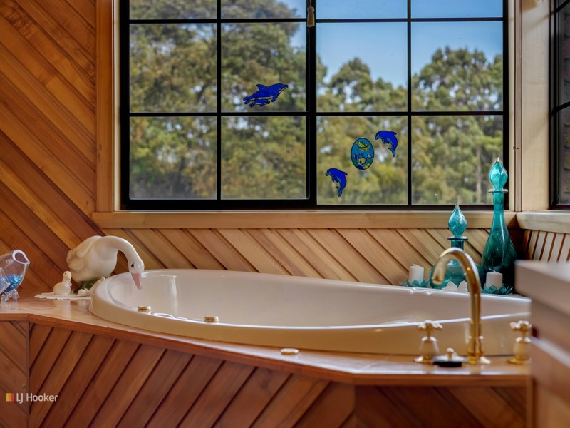 221 Preolenna Road, Flowerdale TAS 7325