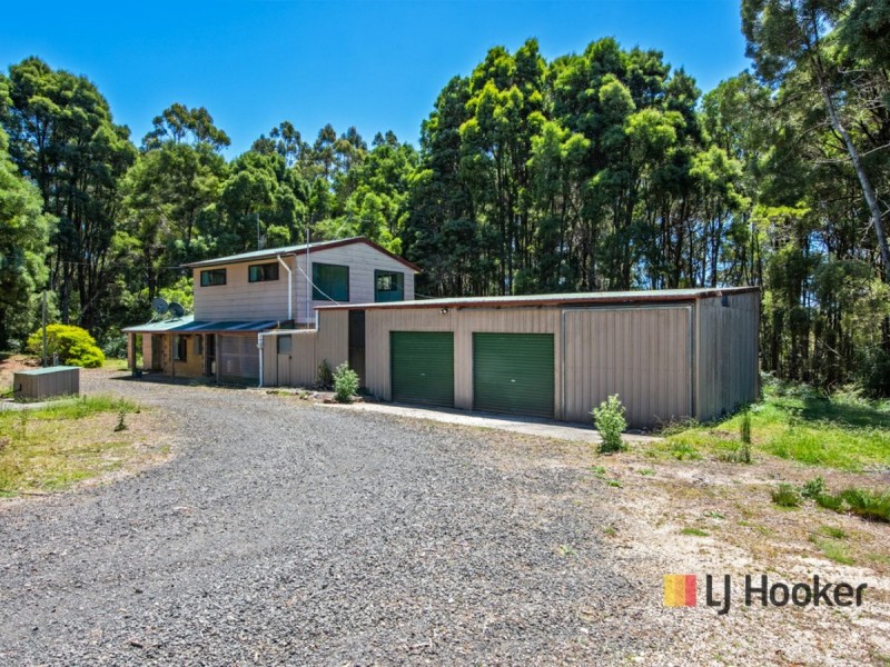 1131 Preolenna Road, Moorleah TAS 7325