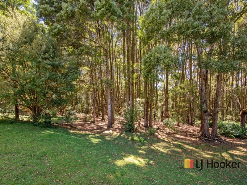 1131 Preolenna Road, Moorleah TAS 7325