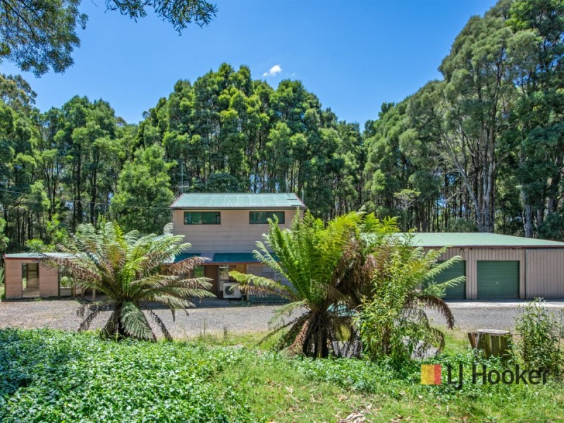 1131 Preolenna Road, Moorleah TAS 7325