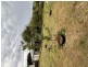 117 Old Surrey Road, Havenview TAS 7320