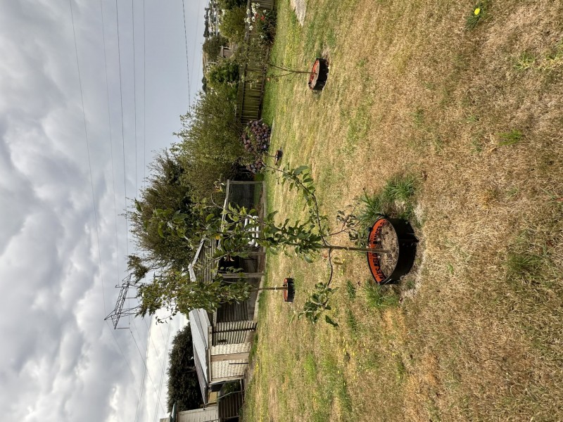 117 Old Surrey Road, Havenview TAS 7320