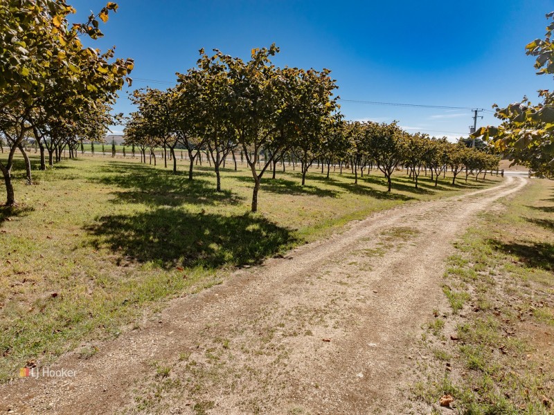399 Murchison Highway, Somerset TAS 7322
