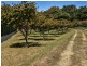 399 Murchison Highway, Somerset TAS 7322