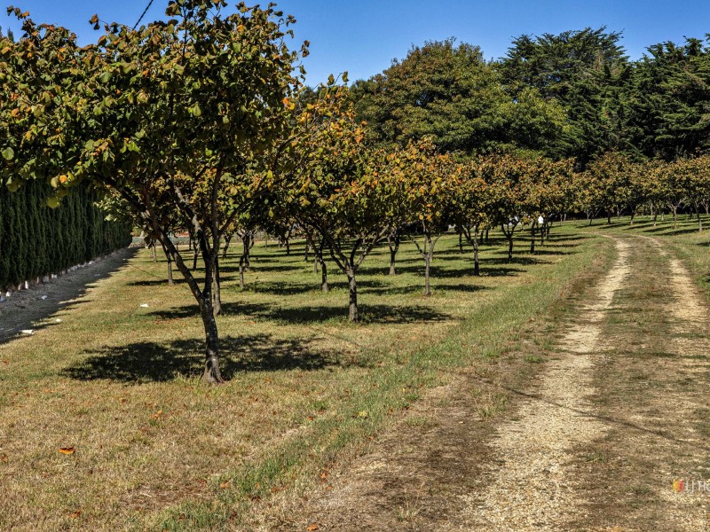 399 Murchison Highway, Somerset TAS 7322