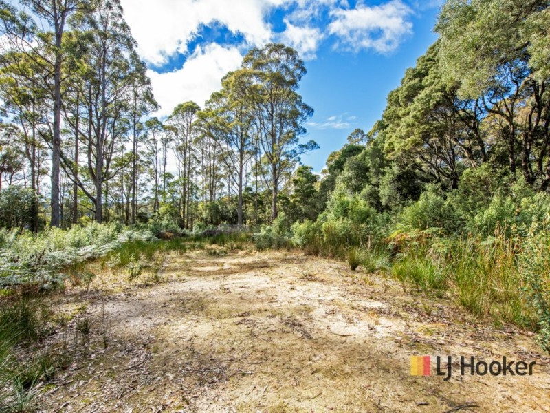 00 Deep Creek Road, Mount Hicks TAS 7325