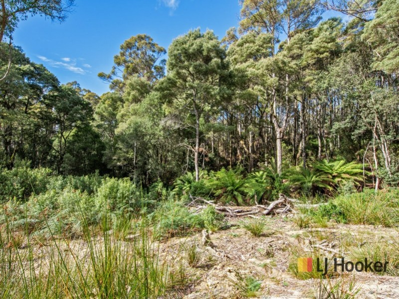 00 Deep Creek Road, Mount Hicks TAS 7325