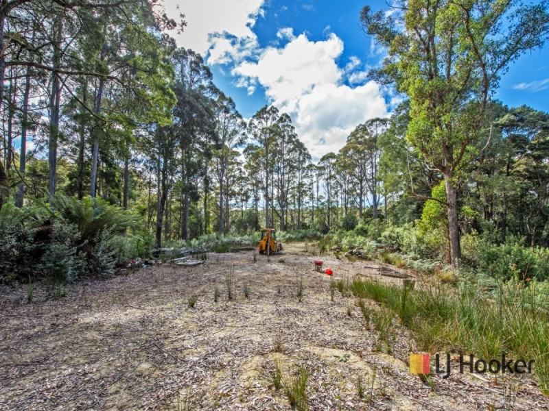 00 Deep Creek Road, Mount Hicks TAS 7325