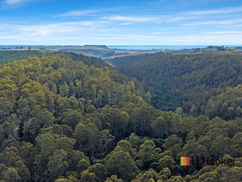 00 Deep Creek Road, Mount Hicks TAS 7325