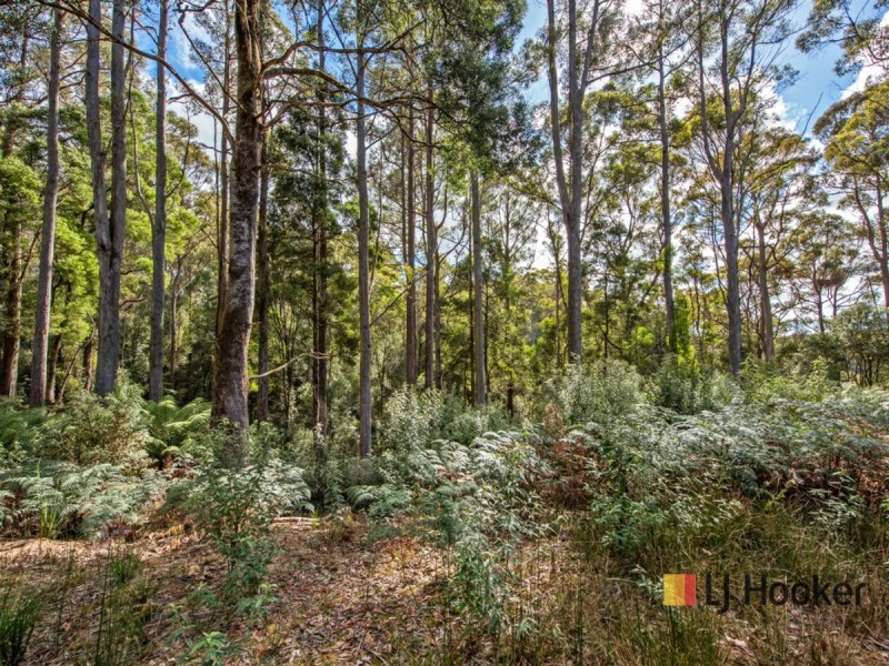00 Deep Creek Road, Mount Hicks TAS 7325