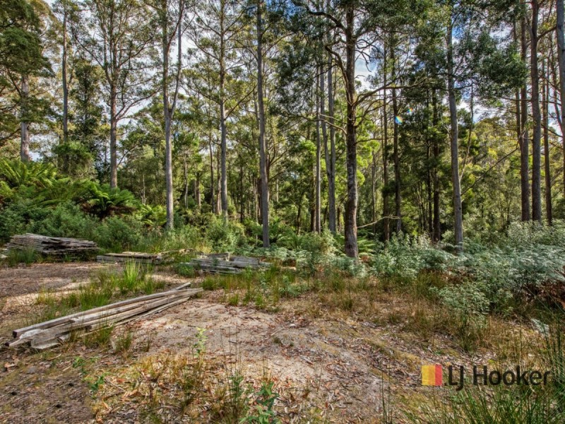 00 Deep Creek Road, Mount Hicks TAS 7325