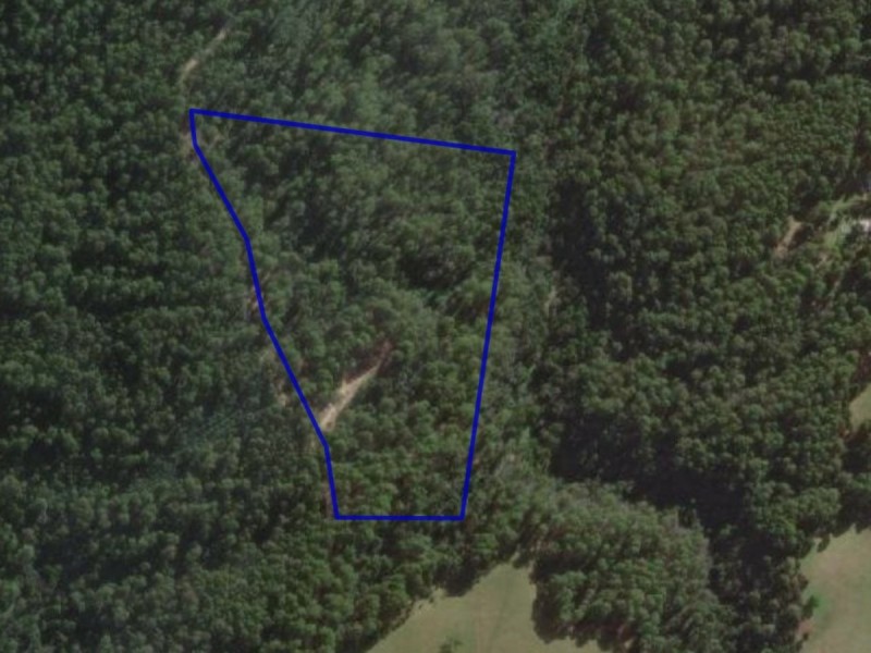 00 Deep Creek Road, Mount Hicks TAS 7325
