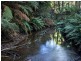 Lot 2/340 Back Cam Road, Somerset TAS 7322