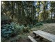 Lot 2/340 Back Cam Road, Somerset TAS 7322