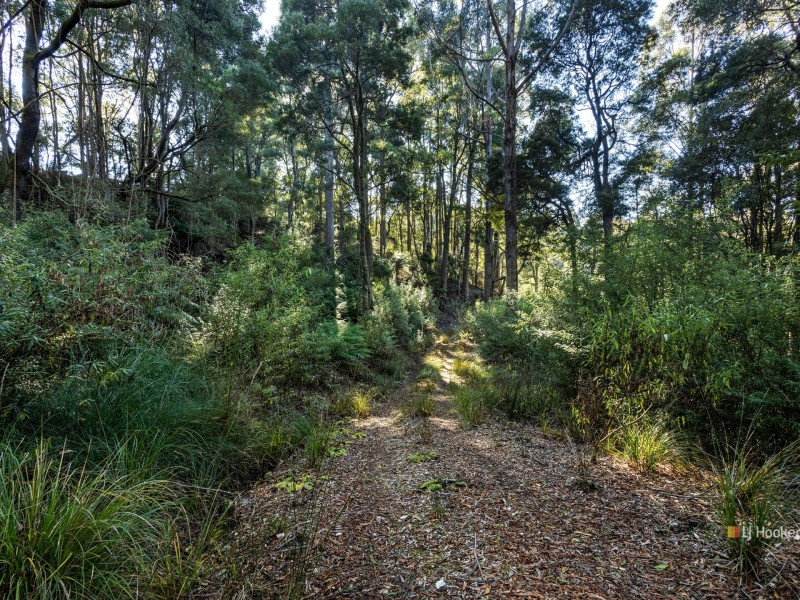 0 Pages Road, Moorleah TAS 7325
