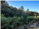 0 Pages Road, Moorleah TAS 7325