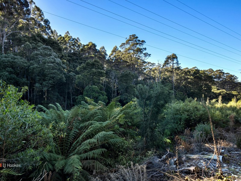 0 Pages Road, Moorleah TAS 7325