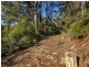 0 Pages Road, Moorleah TAS 7325