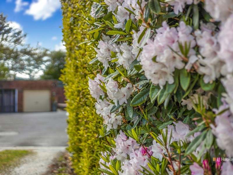 99 Saunders Street, Wynyard TAS 7325