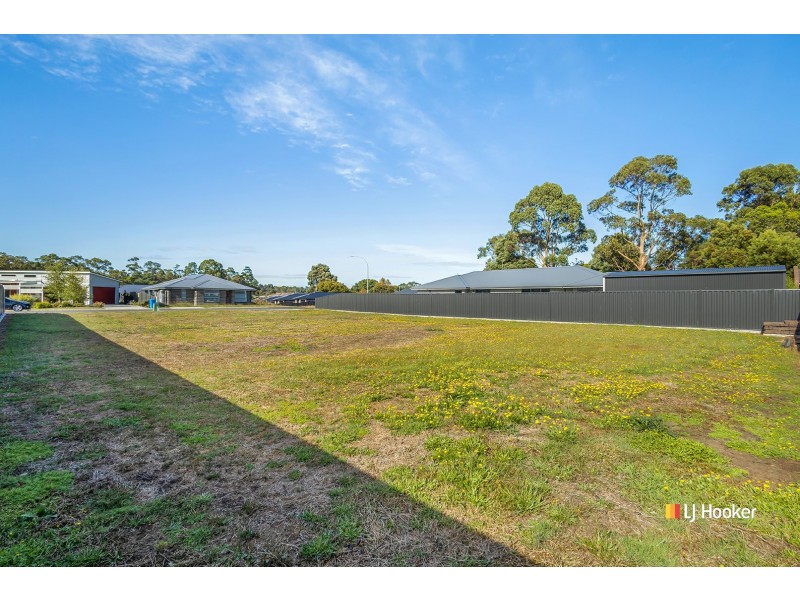 10 Millpond Court, Wynyard TAS 7325