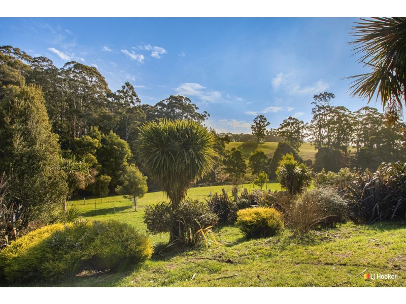 48 Andersons Road, Wynyard TAS 7325