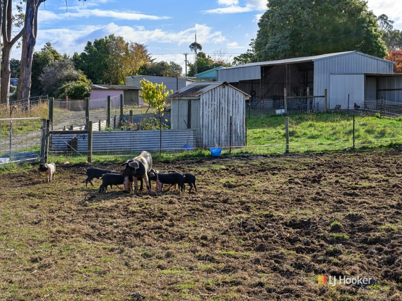 1091 Murchison Highway, Elliott TAS 7325